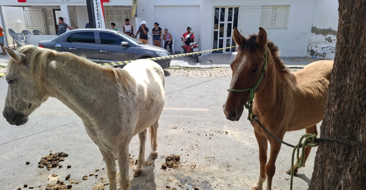 Idoso morre após ser arrastado por cavalo no Sertão da Paraíba