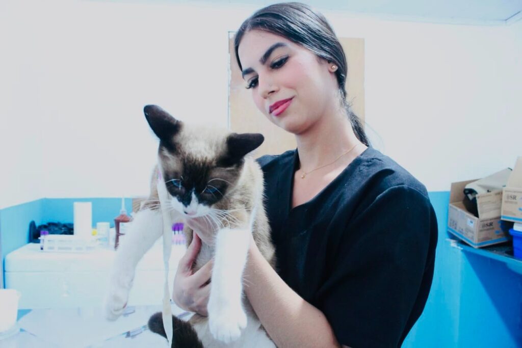 Alhandra inicia cadastro para castração gratuita de cães e gatos pelo programa Paraíba Pet