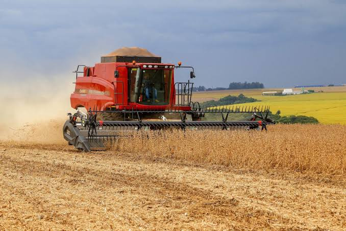 Quebra de safra faz Brasil elevar para 9 milhões de toneladas a importação de trigo, e Argentina se prepara para vender mais