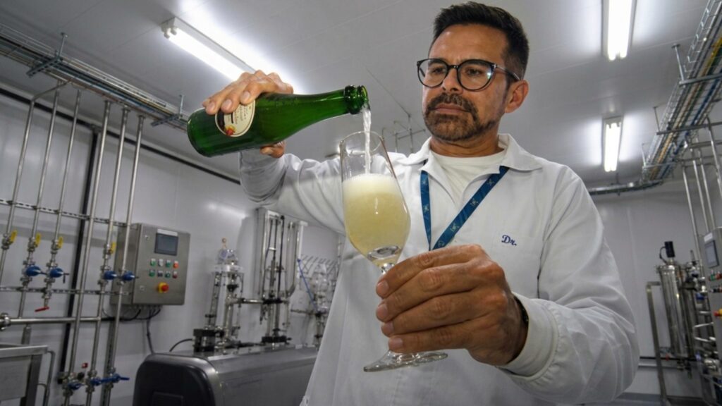 UFPB desenvolve cerveja artesanal com abacaxi e hortelã, e inovação é reconhecida com patente pelo INPI